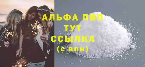 гидра Бородино