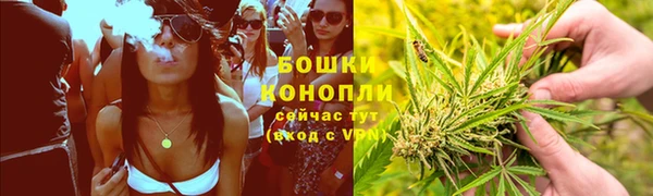 гидра Бородино