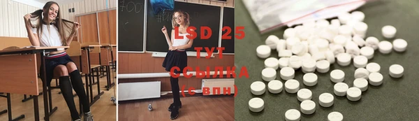 гидра Бородино