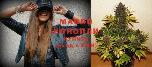 гидра Бородино