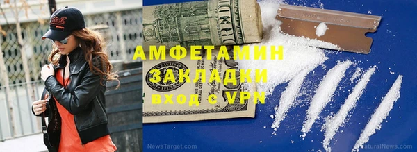 гидра Бородино