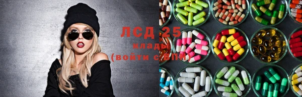 гидра Бородино