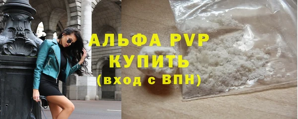 гидра Бородино