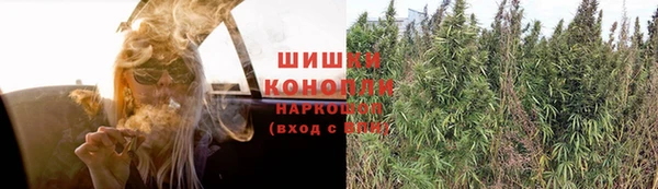 тгк Богданович