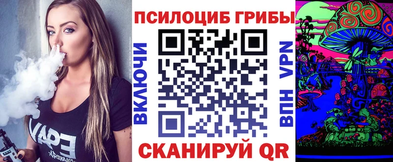 Псилоцибиновые грибы Psilocybe  Нефтеюганск 